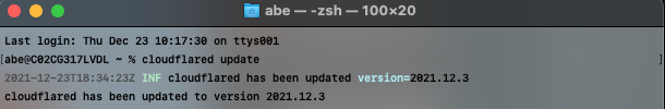 Example of terminal output after updating cloudflared to the latest version.